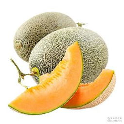 哈密瓜蓉產品綜合指南 價格、型號、圖片及預包裝食品批發與零售服務